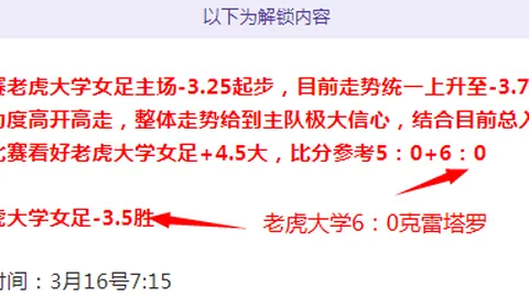 19岁中国少女击倒美国拳王，一拳踢断三根肋骨震撼八角笼